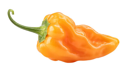 Orange Habanero Peppers isolated on a transparent background.