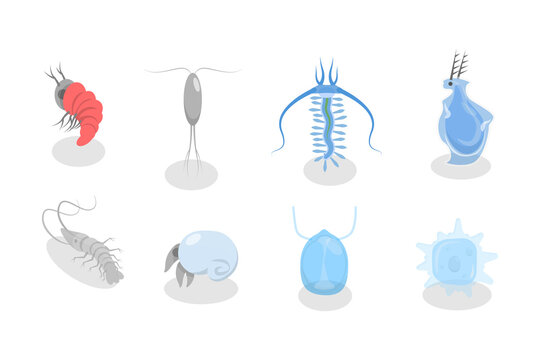 3D Isometric Flat  Set of Varieties Of Plankton, Collection of Small Water Organisms