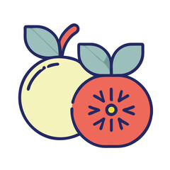 Blueberry cute fruit illustration EPS