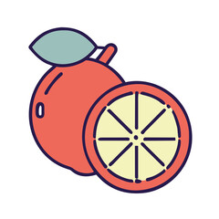 Lemon cute fruit illustration EPS