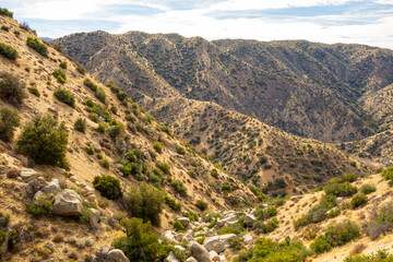 Fototapeta na wymiar Views of the desert landscape hiking in the northern Mojave Desert area of the San Bernardino National Forest