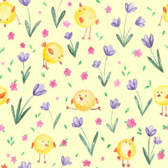Little cute cartoon yellow chicks and fields with violet purple crocus flowers and pink florets.Spring natural botanical background on yellow,easter backdrop