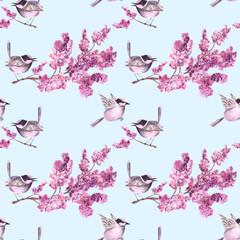 Two little birds with pink violet grey feathers on blooming cherry or lilac branch on blue background, sitting and flying.Concept of love,family