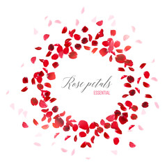 Red rose petals falling in the air on white romantic vector card. Round wedding celebration design. Love wreath