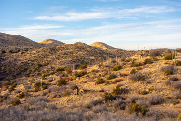 Views of the desert landscape hiking in the northern Mojave Desert area of the San Bernardino National Forest