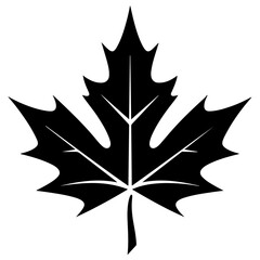 Fototapeta premium maple leaf icon illustration, maple leaf black silhouette logo svg vector
