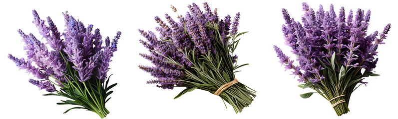 lavender set png. set of lavender flowers isolated. lavandula flower. aromatic plant of lavender isolated. lavender top view png. lavender flat lay png - obrazy, fototapety, plakaty