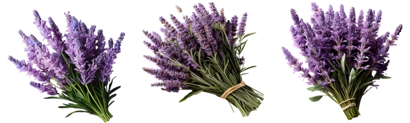 Muurstickers lavender set png. set of lavender flowers isolated. lavandula flower. aromatic plant of lavender isolated. lavender top view png. lavender flat lay png © Divid