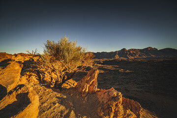 Volcanic valley at sunset