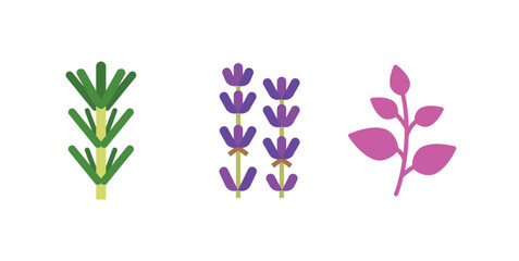 Plants flowers spices icons set vector