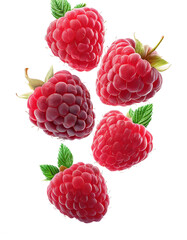 Flying raspberry isolated on transparent background.