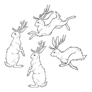 Jackalope hare with horns folklore magic animals set hand drawn line art gothic tattoo design isolated vector illustration