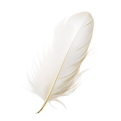 feather png
