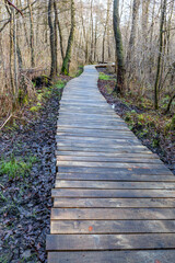 Wooden path on muddy ground between bare trees from lower perspective, fading into background, Thor Park - Hoge Kempen National Park, cloudy day in Genk, Belgium
