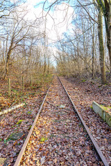 Old disused straight train tracks disappearing into background, among bare trees and wild vegetation, Thor Park - Hoge Kempen National Park, sunny autumn day in Genk, Belgium