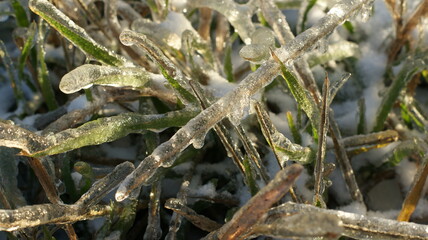 Caution tape, covered in snow and icicles. The tape is stretched horizontally, with icicles hanging from its bottom edge against a blurred snowy landscape