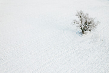 Aerial Winter Wonderland: Drone View of a Snow-Covered Meadow with a Majestic Tree