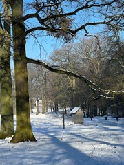 Park with snow