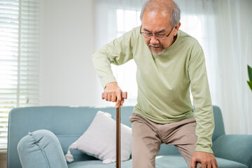 Elderly man suffering from knee pain ache holding handle of cane, senior old man typing to stand up...