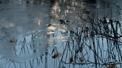Reflections of branches on iced water