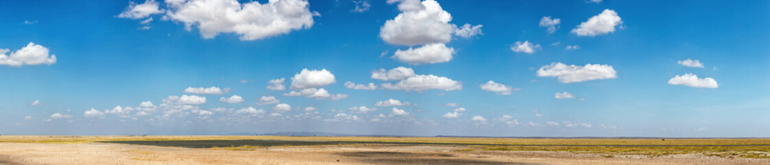A panoramic view captures the vastness of an African savannah, with a clear blue sky punctuated by soft clouds, highlighting the natural beauty of the landscape. - 713413594