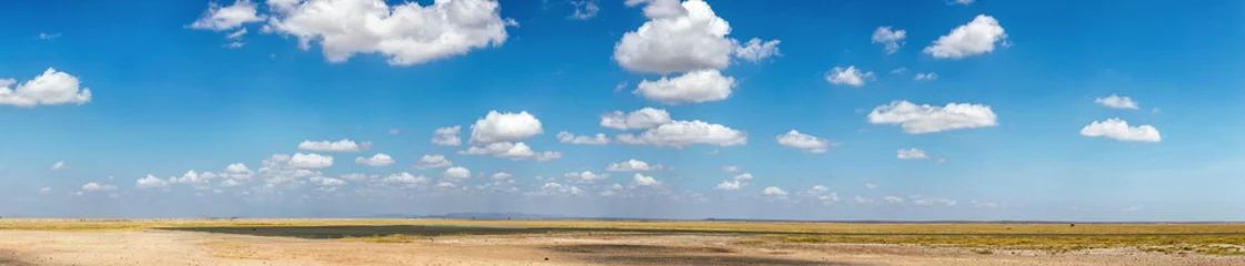 Foto op Aluminium A panoramic view captures the vastness of an African savannah, with a clear blue sky punctuated by soft clouds, highlighting the natural beauty of the landscape. © Rixie