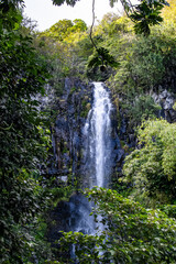 Fototapeta na wymiar Waterfall in Maui