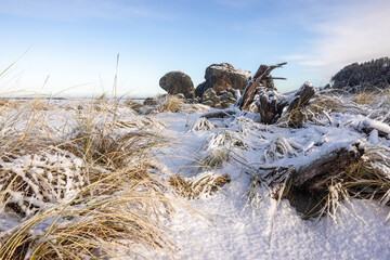 Turtle rock with snow