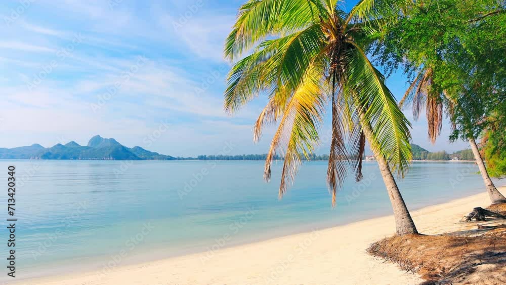 Wall mural beach and coconut palm trees