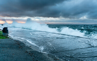 Alki Water Blast 5