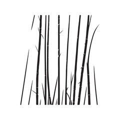 Bamboo Illustration