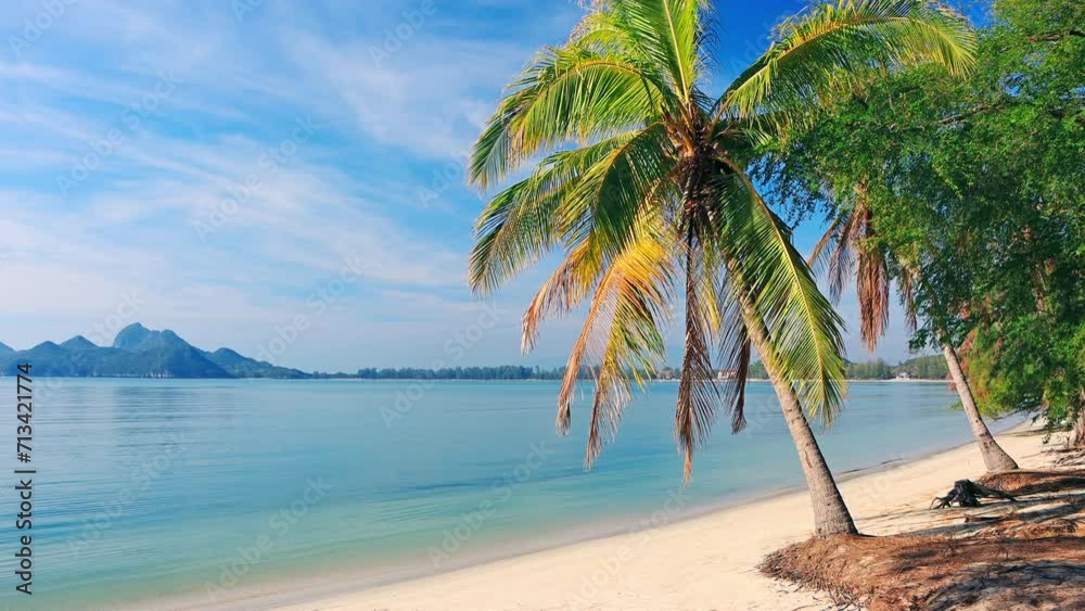 Wall mural beach and coconut palm trees
