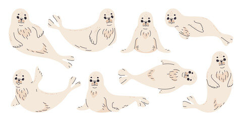 Cute pup seal in various poses set. Vector flat illustration on white background.