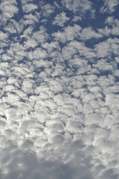 sch&auml;fchenwolken