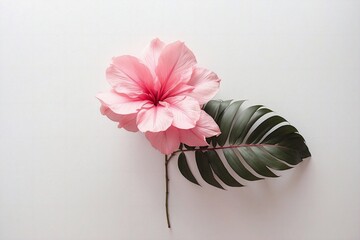 tropical pink flowers on white background with copy space