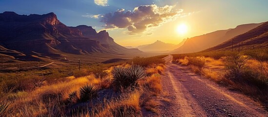 A spectacular sunrise from Glenn Springs Road Big Bend National Park United States. Copy space image. Place for adding text - obrazy, fototapety, plakaty