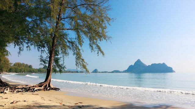 Casuarina (Australian pine) on beautiful tropical beach, Ao Monao, Thailand