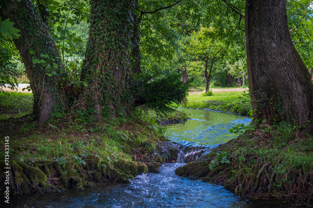 Wall mural Enchanted forest with small water stream.