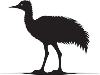 Emu silhouette of a vector illustrator 