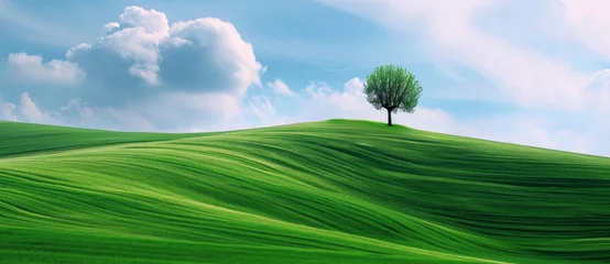 Gordijnen A lone tree stands on a rolling green hill, a symbol of solitude and peace under the vast, cloud-strewn sky © Ai Studio