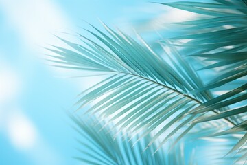  a close up view of a palm tree leaves against a blue sky with clouds in the background.