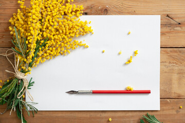 Spring message. bouquet of mimosa and feather lie on sheet.