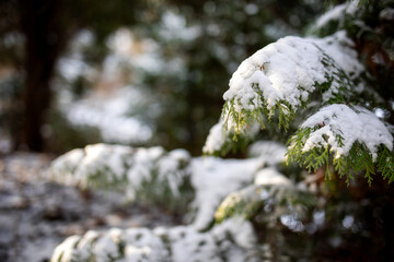 Zima Winter Natura © Magdalena