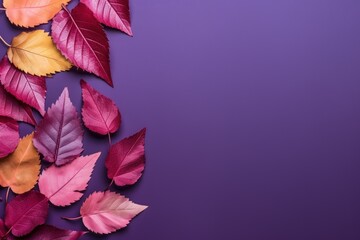  a purple background with a bunch of colorful leaves on the bottom and bottom of the image is a purple background with a bunch of colorful leaves on the bottom.