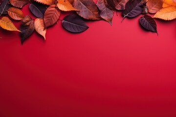  a red background with a bunch of leaves on the bottom and bottom of the image on the bottom of the image.