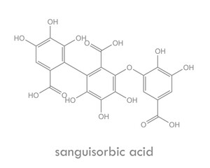 Sanguisorbic acid structure. Constituent of some ellagitannins.