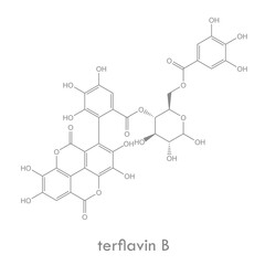 Terflavin b structure. Molecule of an ellagitannin, a type of hydrolysable tannin.