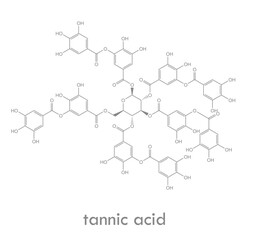 Tannic acid structure. Molecule of tannin, a type of polyphenol.