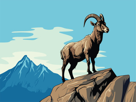 mountain goat on a rock