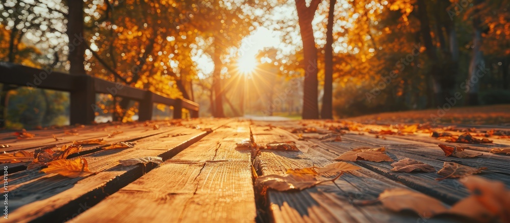 Poster Beautiful colorful natural autumn background Wooden flooring on the background of a blurred autumn park. Copy space image. Place for adding text or design